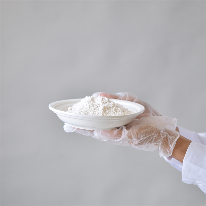 Hidroxipropilmetilcelulose CAS 9004-65-3